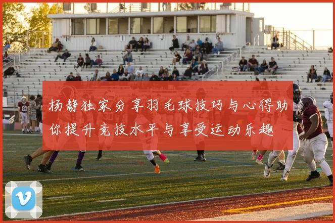 杨静独家分享羽毛球技巧与心得助你提升竞技水平与享受运动乐趣