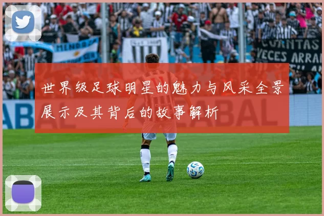 世界级足球明星的魅力与风采全景展示及其背后的故事解析