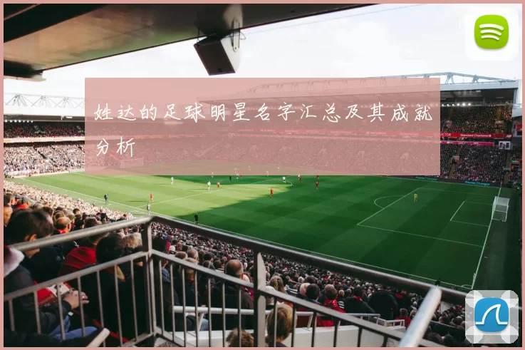 姓达的足球明星名字汇总及其成就分析