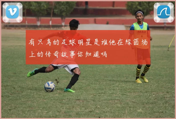 有只鸟的足球明星是谁他在绿茵场上的传奇故事你知道吗