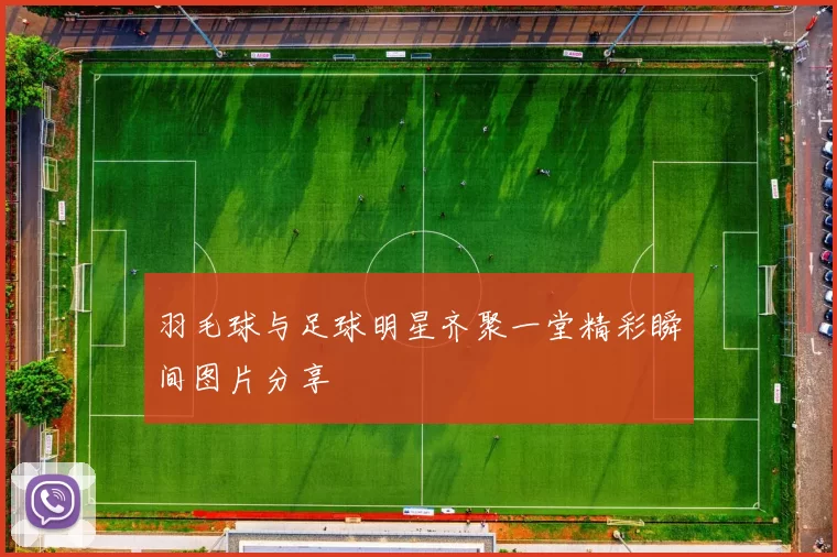 羽毛球与足球明星齐聚一堂精彩瞬间图片分享