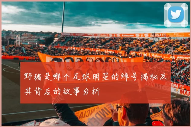 野猪是哪个足球明星的绰号揭秘及其背后的故事分析