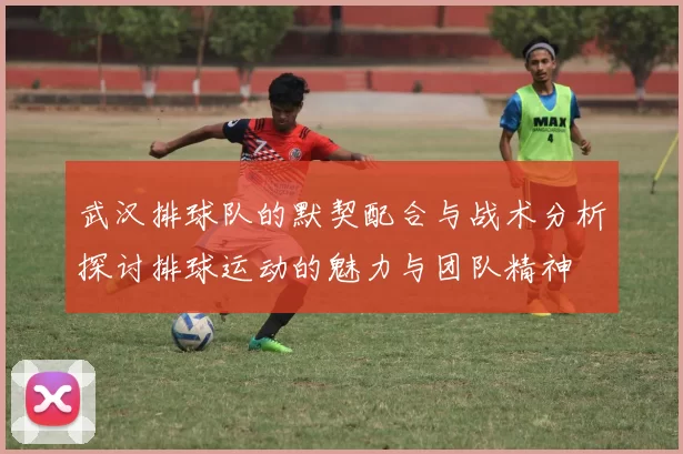 武汉排球队的默契配合与战术分析探讨排球运动的魅力与团队精神