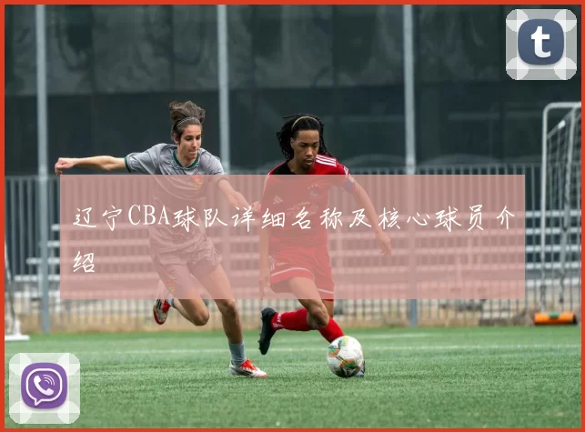 辽宁CBA球队详细名称及核心球员介绍