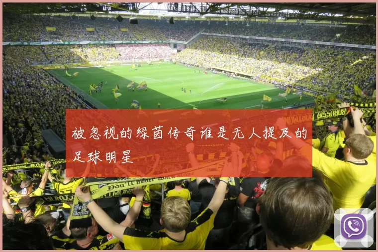 被忽视的绿茵传奇谁是无人提及的足球明星