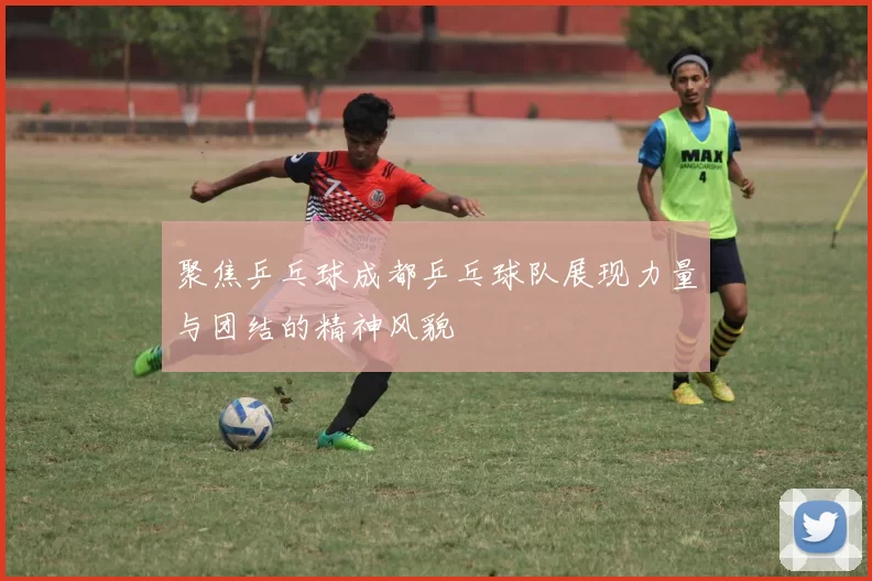 聚焦乒乓球成都乒乓球队展现力量与团结的精神风貌