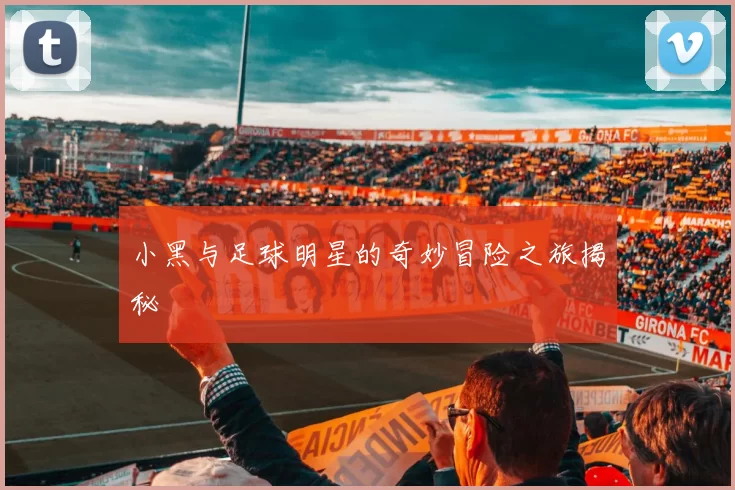 小黑与足球明星的奇妙冒险之旅揭秘