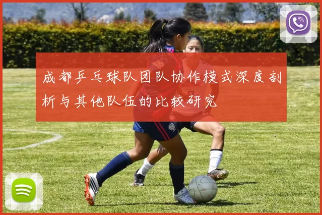 成都乒乓球队团队协作模式深度剖析与其他队伍的比较研究