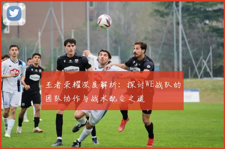 王者荣耀深度解析：探讨WE战队的团队协作与战术配合之道