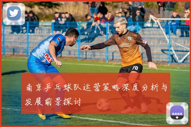 南京乒乓球队运营策略深度分析与发展前景探讨