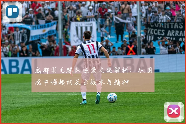 成都羽毛球队逆袭之路解析：从困境中崛起的反击战术与精神