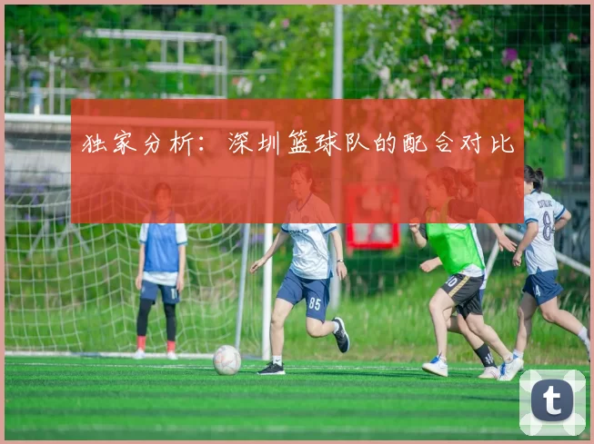 独家分析：深圳篮球队的配合对比