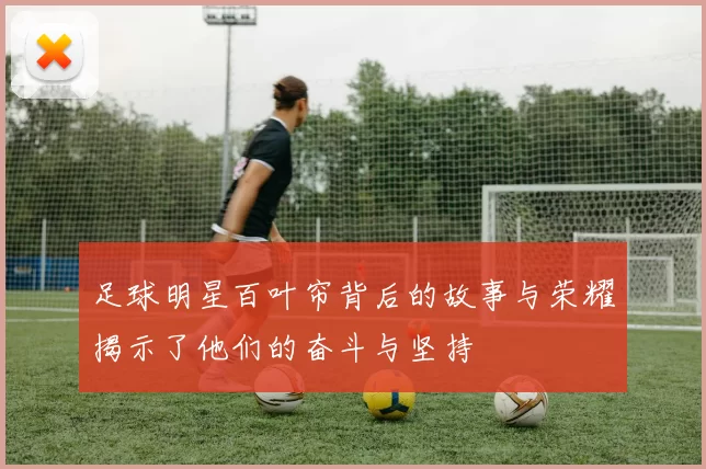 足球明星百叶帘背后的故事与荣耀揭示了他们的奋斗与坚持