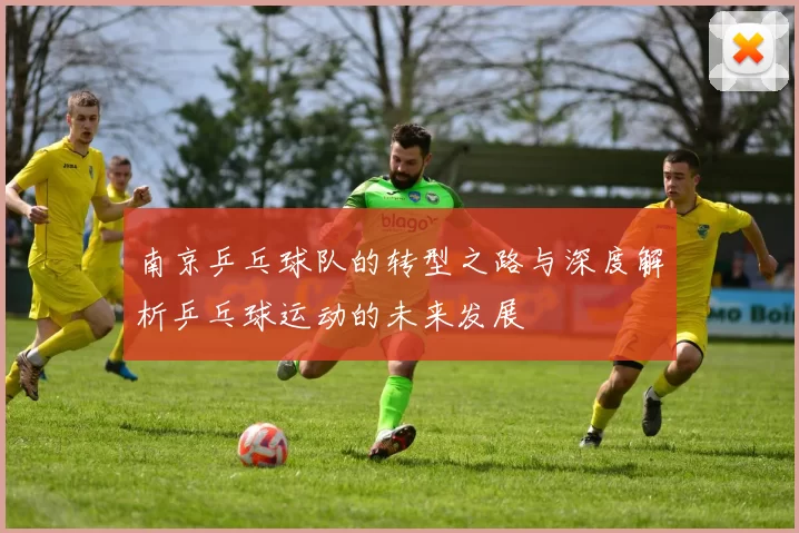 南京乒乓球队的转型之路与深度解析乒乓球运动的未来发展