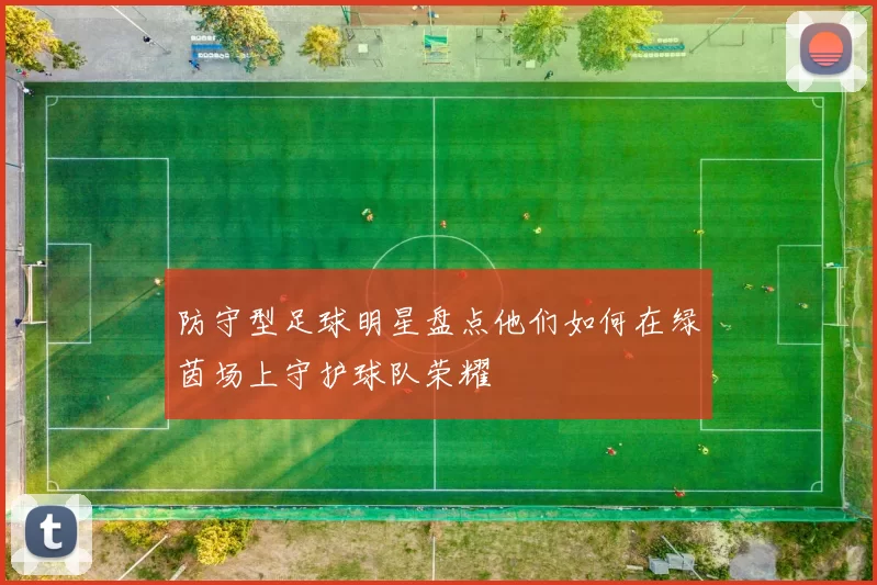 防守型足球明星盘点他们如何在绿茵场上守护球队荣耀
