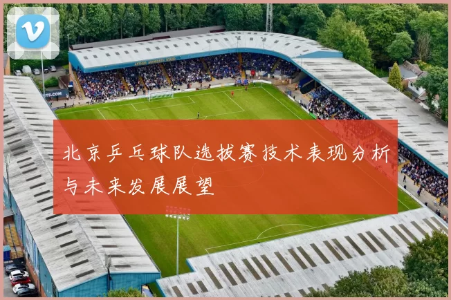 北京乒乓球队选拔赛技术表现分析与未来发展展望