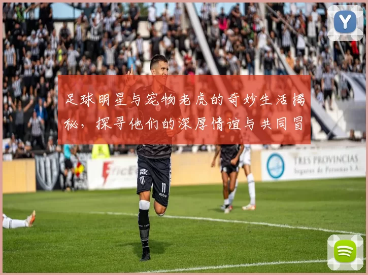 足球明星与宠物老虎的奇妙生活揭秘，探寻他们的深厚情谊与共同冒险