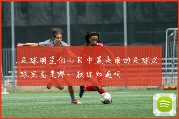 足球明星们心目中最美丽的足球皮球究竟是哪一款你知道吗