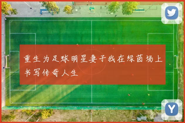 重生为足球明星妻子我在绿茵场上书写传奇人生