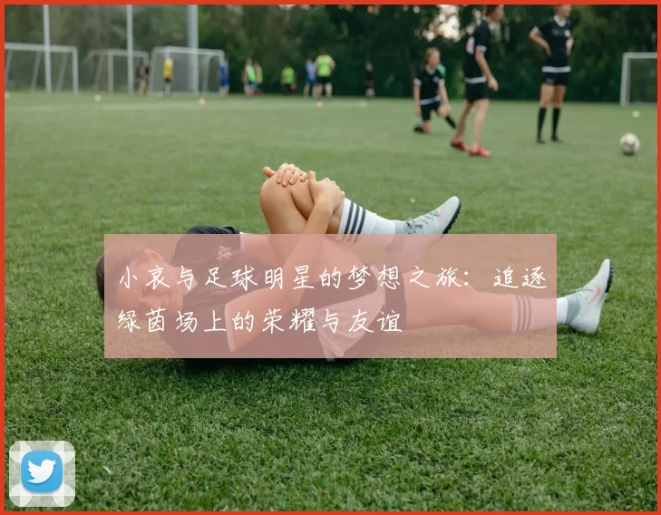 小哀与足球明星的梦想之旅：追逐绿茵场上的荣耀与友谊